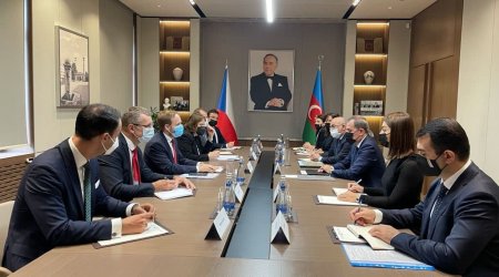 Ceyhun Bayramov çex həmkarı ilə hansı məsələləri müzakirə etdi? - DETALLAR 