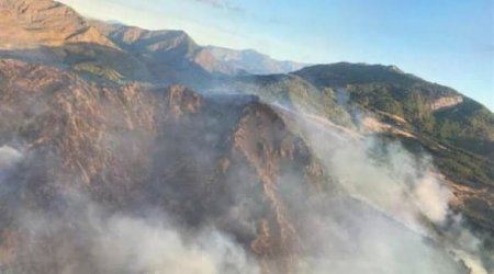 Türkiyədə yenidən meşə yanğınları başladı - FOTO