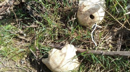 Qubada naməlum MƏZARLIQ tapıldı – İnsanlar yandırılaraq quyulara doldurulub – FOTOFAKT - ÖZƏL