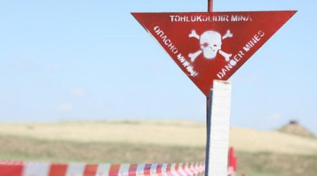 Slovakiyadan Azərbaycana minatəmizləmə texnikası gətiriləcək