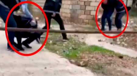 Bakıda xarici vətəndaşlara işləyən şəxslər belə tutuldu: ƏMƏLİYYAT GÖRÜNTÜSÜ - VİDEO