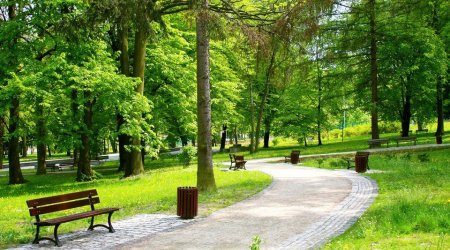 Bakıda parkda meyit tapıldı