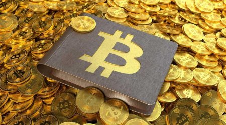 “Bitcoin” yenidən rekord həddə bahalaşdı