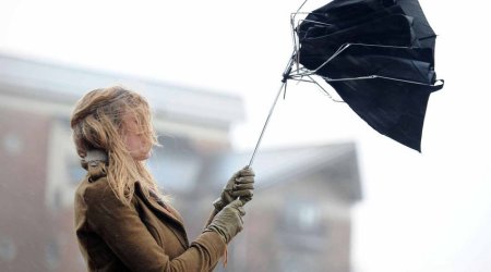 Bakıda güclü küləyin fəsadı: 11 nəfər xəstəxanalıq oldu