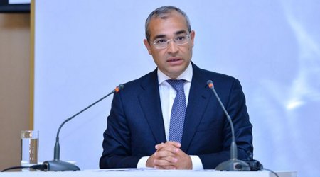 Mikayıl Cabbarov türkiyəli nazirlə görüşdü - PAYLAŞIM