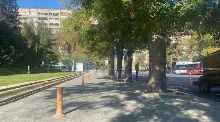 Bakının mərkəzi küçələrində velosiped yolları çəkilir - FOTO