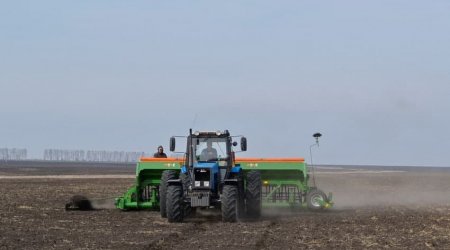 Aqrar Sığorta Fondundan fermerlərə MÜRACİƏT - SƏBƏB