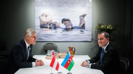 Ceyhun Bayramov avstriyalı həmkarı ilə görüşdü