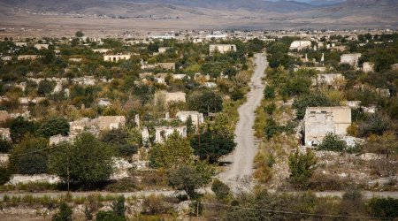 900-dan çox şirkət Qarabağda fəaliyyət göstərmək üçün müraciət edib