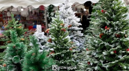 Bakıda Yeni il yarmarkalarına start verildi - FOTO