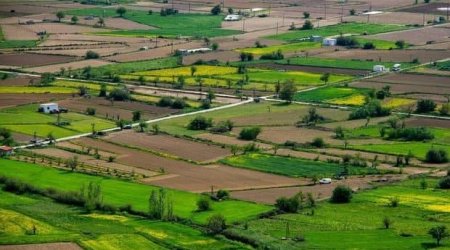 Bakıda torpaq kəskin ucuzlaşdı