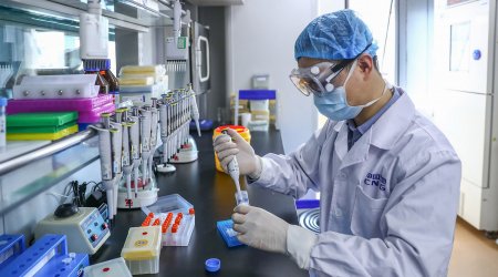 Koronavirus testi pozitiv çıxanlara pul veriləcək
