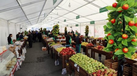 Bakıda “Kənddən Şəhərə” Yeni il yarmarkası keçiriləcək – 3 ünvanda