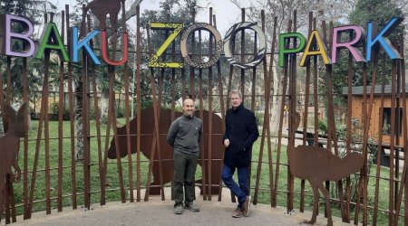 Britaniya səfiri Bakı zooparkını gəzdi - FOTO