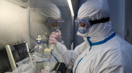 Koronavirusun orqanizmdə qalma müddəti ARAŞDIRILDI – Ürək və beyində…