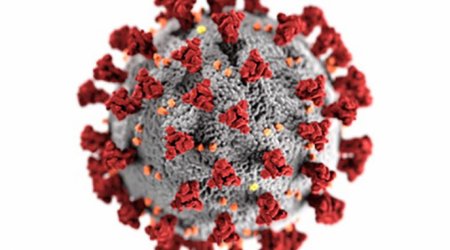 Koronavirus insan orqanizmində 7 ay qala bilər - ARAŞDIRMA