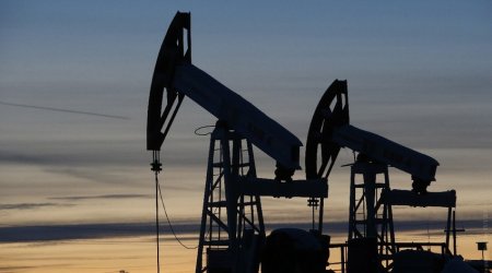 Neft Fondu valyuta hərraclarındakı satışını 8 % azaltdı – 2021-ci ildə