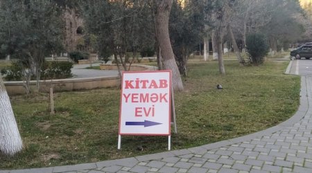 İnsan nəfsi ağır seçim qarşısında: Kitab, yoxsa yemək? - FOTO