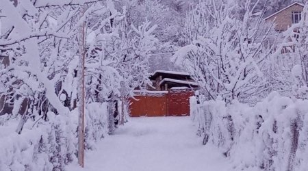 Qubanın Qrız kəndində 11 dərəcə şaxta var - FOTO