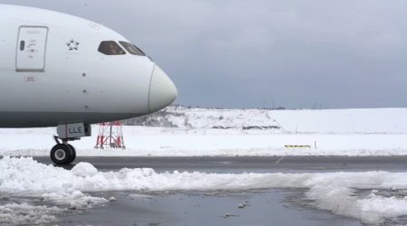 İstanbul Hava Limanı işini bərpa etdi - VİDEO