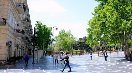 Bakının bu rayonu yoluxma sayında birincidir - 14,5 % göstərici ilə