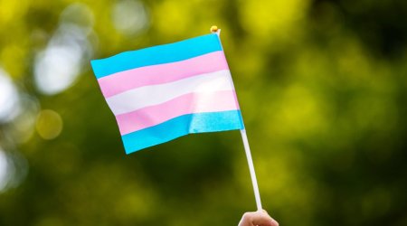 Daha tez pensiyaya çıxmaq istəyən kişidən İNANILMAZ ADDIM - Cinsini dəyişdi 