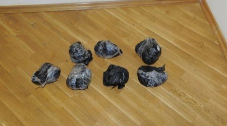 Füzuli sakinləri 5 kiloqramdan çox narkotiklə tutuldu - FOTO