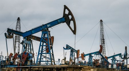 Azərbaycan neftinin qiyməti 100 dollara çatır