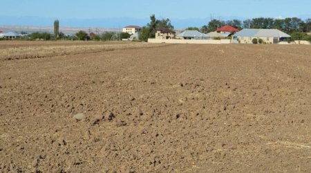 Bələdiyyələrin qanunsuz satdığı torpaqlardan 9 096 hektarı geri qaytarıldı