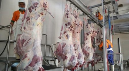 İsmayıllıda atları kəsib, ətini Bakıda satmaq istəyən şəxs saxlanılıb - FOTO