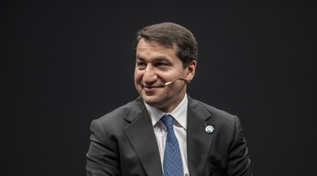 “Rus mədəniyyəti sanksiya təzyiqinə məruz qalmamalıdır” - Hikmət Hacıyev
