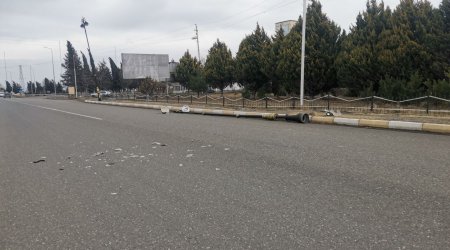 Güclü küləyin Gəncədə törətdiyi FƏSADLAR: Ağaclar, işıq dirəkləri aşdı - FOTO