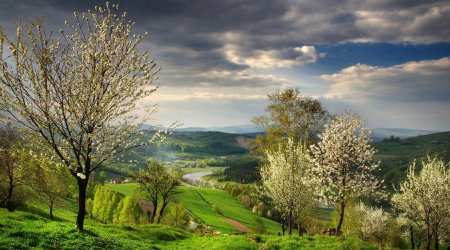 Novruz gəldi, bəs yaz? - İqlim dəyişikliyinin fəsil düzəninə TƏSİRLƏRİ 