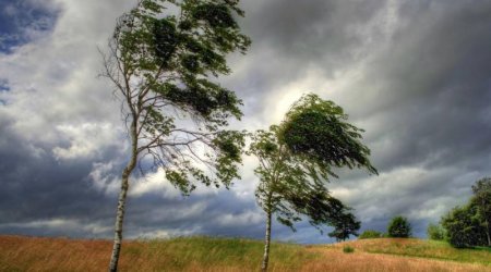 Küləkli hava şəraiti bu tarixədək davam edəcək