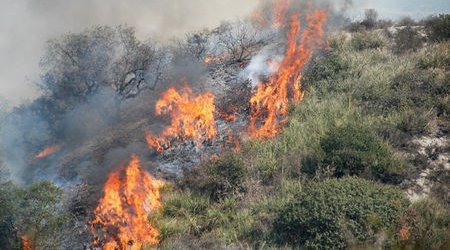 Oğuzda meşə yanır – HƏLƏ DƏ DAVAM EDİR