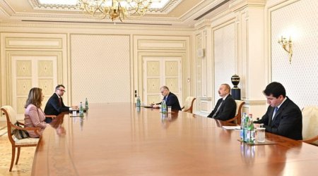 Prezident itkinlər üzrə Beynəlxalq Komissiyanın baş direktorunu qəbul etdi - VİDEO