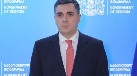 Gürcüstanın yeni xarici işlər naziri bu şəxs oldu