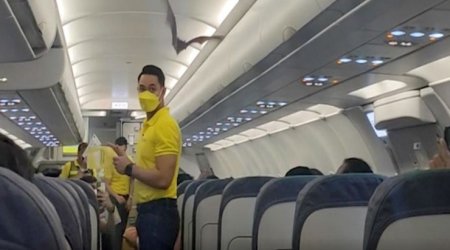 Təyyarənin salonuna yarasa girdi