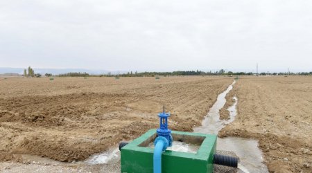 Bələdiyyə torpaqlarından sui-istifadə hallarının qarşısı alınacaq