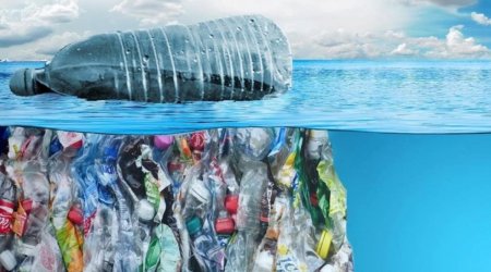 Azərbaycanda plastik tullantılarla bağlı yeni LAYİHƏ