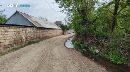 Vəhşi heyvanlar Ağdamın bu kəndinə hücum etdi - FOTO 