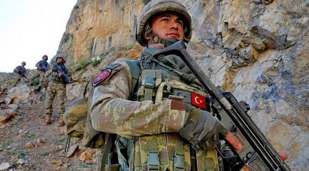 Türkiyə ordusu daha 11 terrorçunu məhv etdi