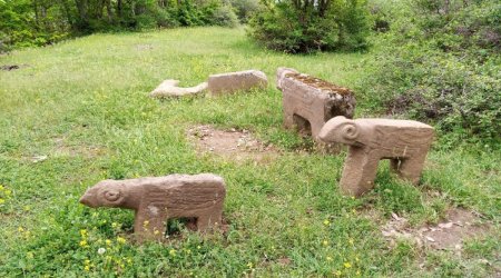Azərbaycanda ilk dəfə daş buğa fiquru aşkar olundu - FOTO 