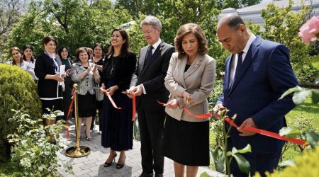 Britaniya səfiri Bərdəyə gedib - FOTO