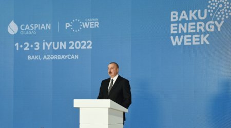 Prezident Azərbaycanın bu sahədə vacib rolundan danışdı