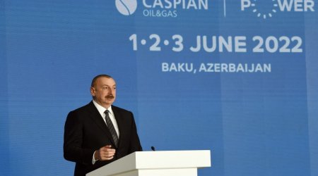 Prezident: “Biz TANAP-ın genişləndirilməsi ilə bağlı düşünə bilərik, çünki tələb artır”