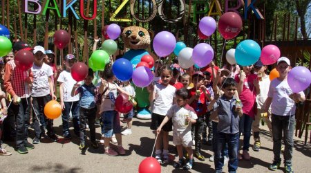 Bakı Zooloji Parkında uşaqlar üçün şənlik keçirildi - FOTO