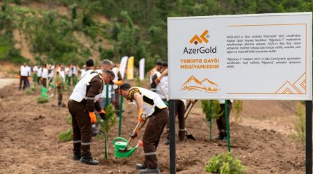 “AzerGold” ilk dəfə qızıl mədənində rekultivasiya işlərinə başladı