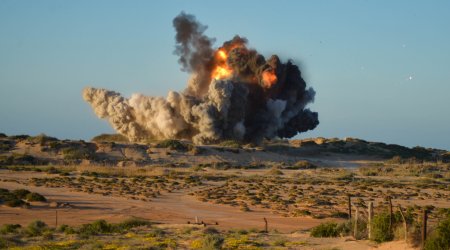Vətən müharibəsindən sonra mina qurbanı olan şəxslərin SAYI