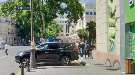Paytaxtda rəzillik - Məmurlar ağacları kəsib parklanma yeri düzəltdilər – FOTO